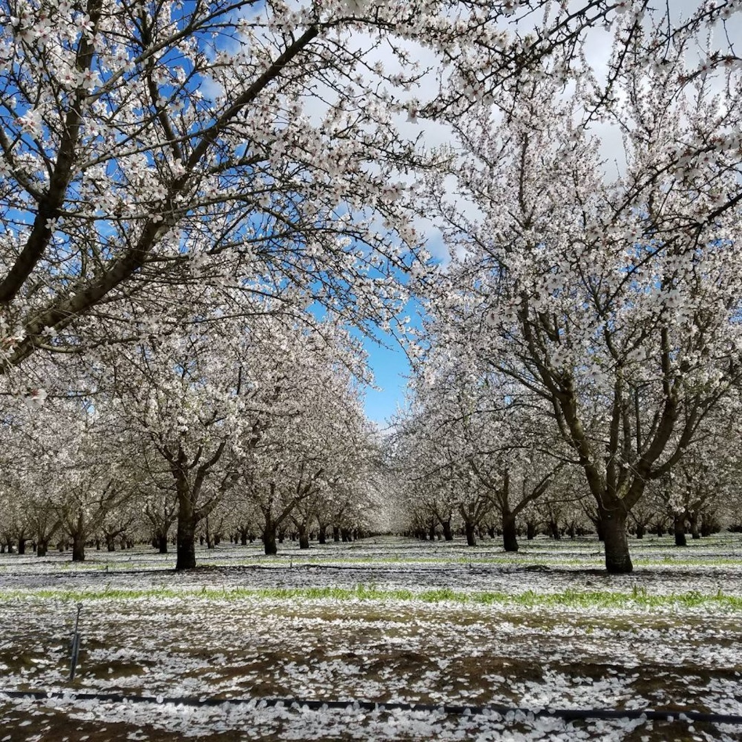 SANGER, CA HVAC SERVICES